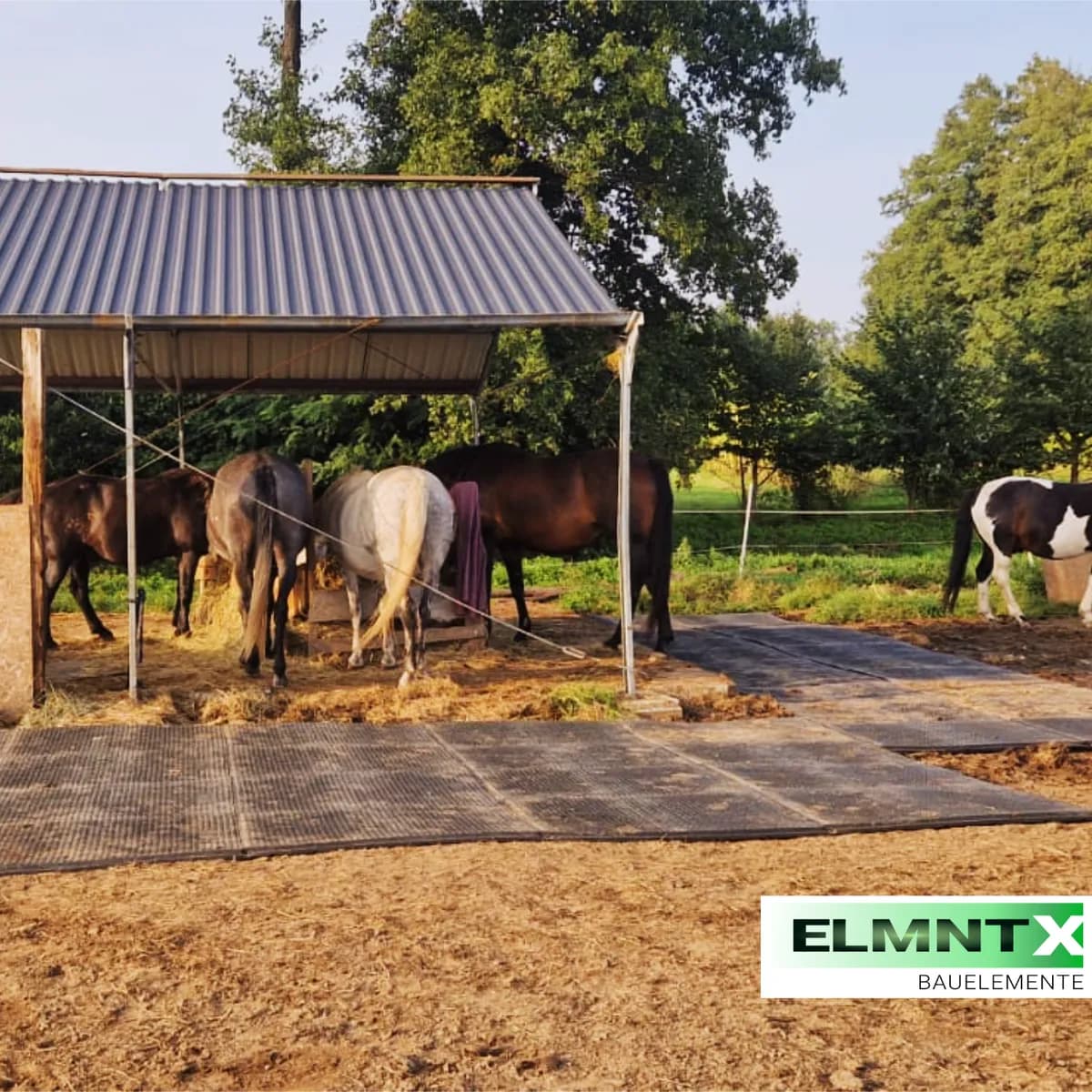 Paddockplatte & Stallmatte 120×80 cm | 32 mm 2